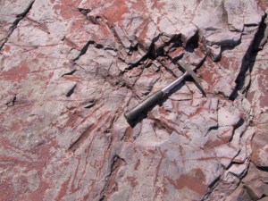 cheverie point tree roots in horton 1