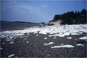 TSOP 07 Cheverie anhydrite