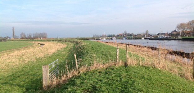 2014-01-19 11.19.08-1