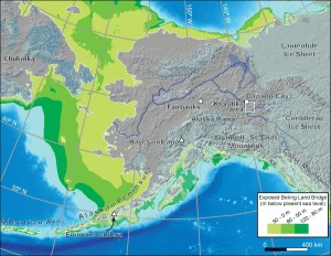 Beringia LGM