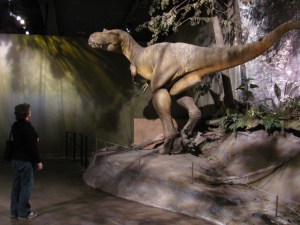 Tyrrell Albertosaurus