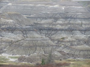 Tyrrell museum area _  Horseshoe Canyon  badlands