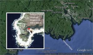 Pennant point from Google Earth