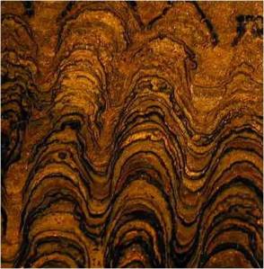 stromatolite proterozoic