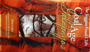 Joggins fossil cliffs by John Calder book cover