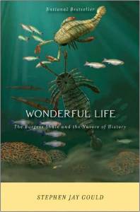 Wonderful life book cover