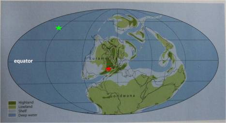 Early Carboniferous 340 ma from LBY