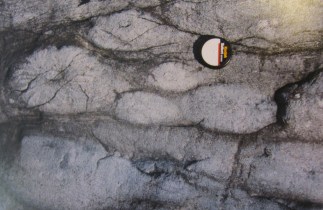 ???????????????????????????????