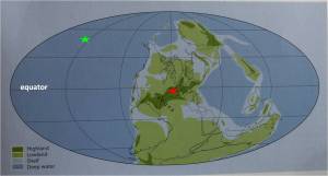 Late Carboniferous 305 ma from LBY