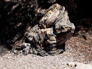 ???????????????????????????????