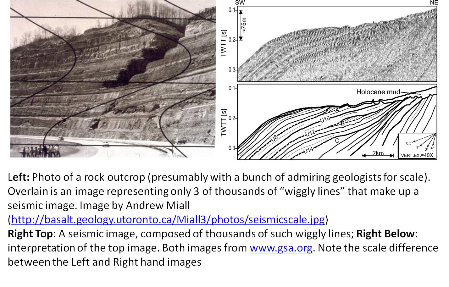 outcrops-and-seismic-lines